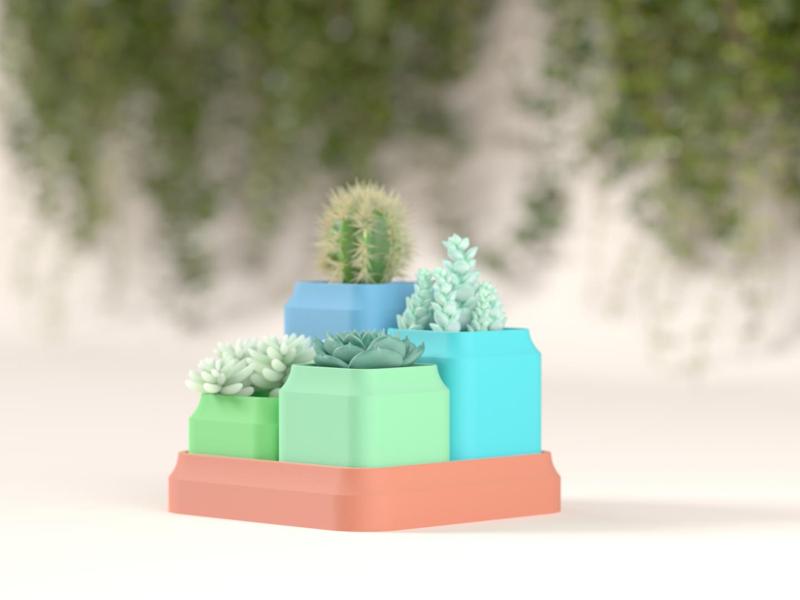 Tiered Succulent Planters with Drainage
