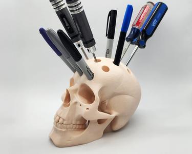 Human Skull Pen Holder