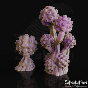 Amanita Selenim Duo