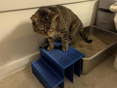 Cat Litter Box Step, THE POOP PERCH 2.0 XL EDITION