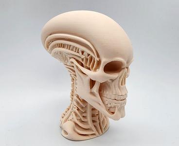Skeletal Alien Bust
