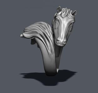 Horse ring
