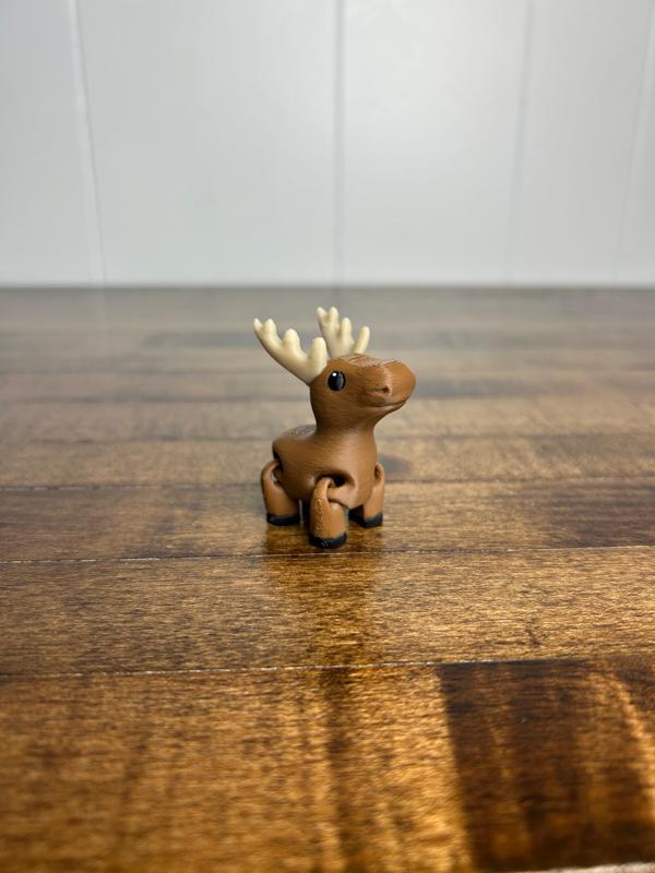 Moose Fidget