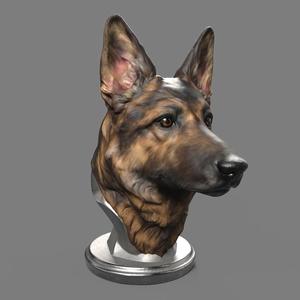 German Shepherd