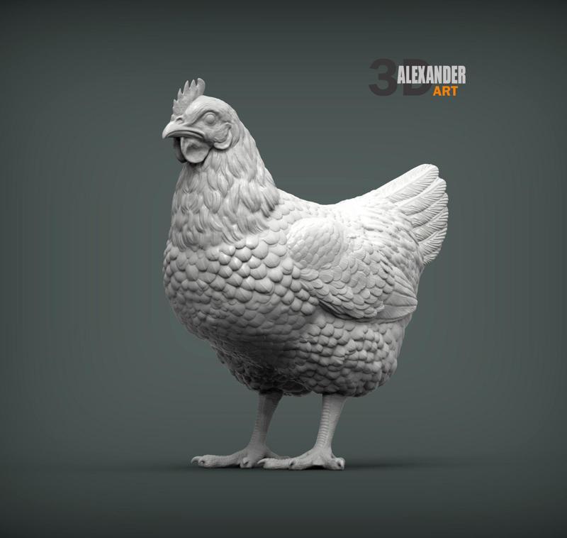 Chicken