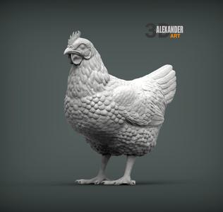Chicken