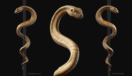 Medical symbol Asclepius – only Snake