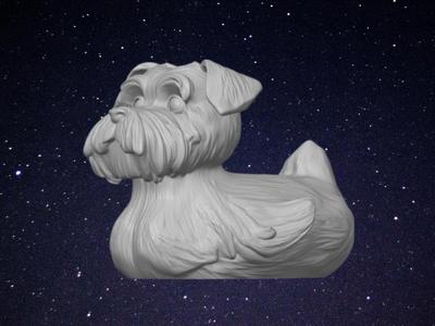 Schnauzer Duck