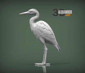 Heron