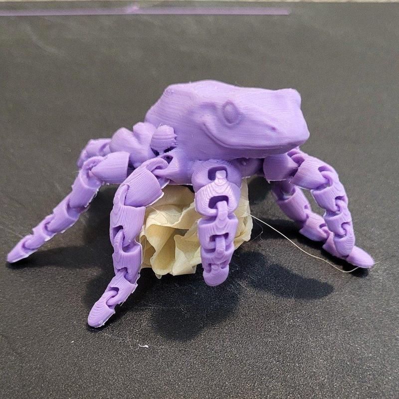 Froctopus