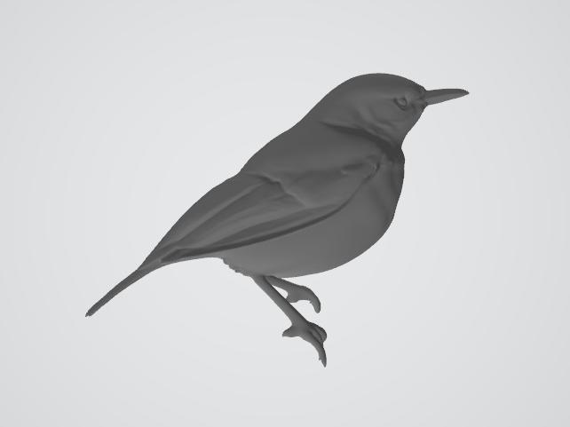 Robin