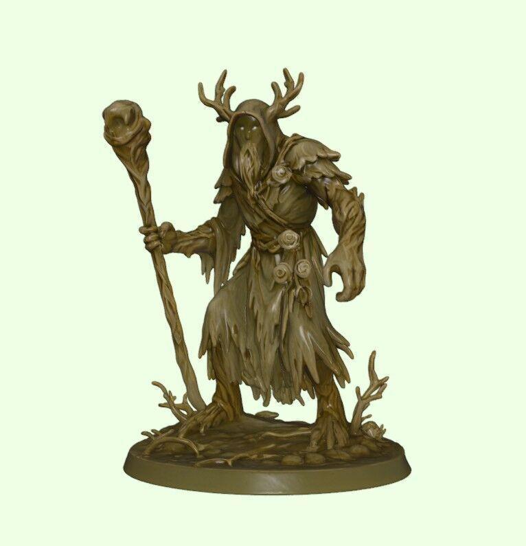 Vaelgor the Hollow Root Druid of the Withered Bloom