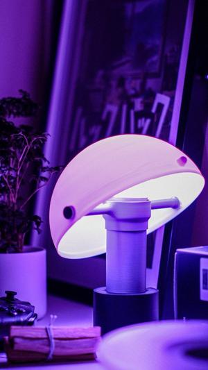Rotatable Mushroom Lamp