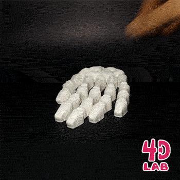Skeleton Hand (Flexi print-in-place)
