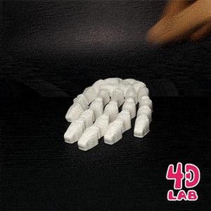 Skeleton Hand (Flexi print-in-place)
