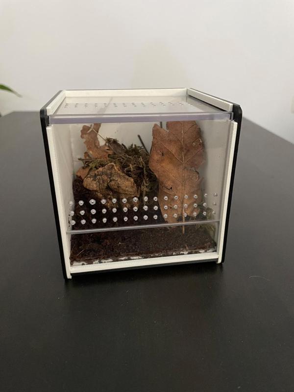 Mini terrarium kit