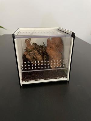 Mini terrarium kit