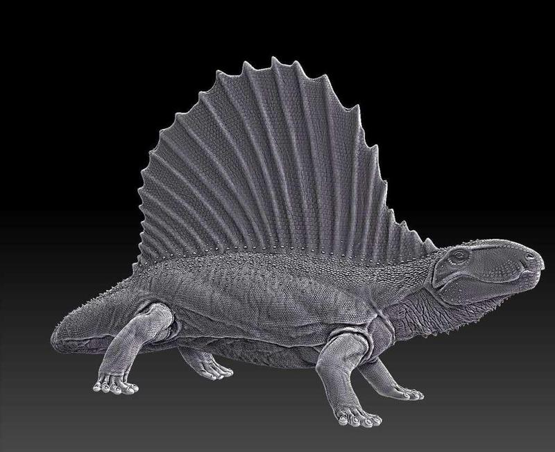 Dimetrodon – Wrath of the Goliaths