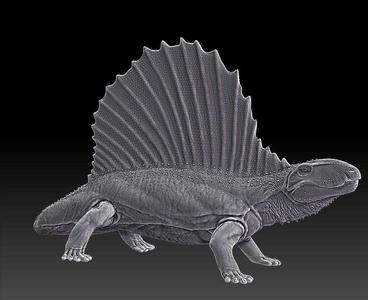 Dimetrodon – Wrath of the Goliaths