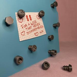 MAGNETIC SCREWS