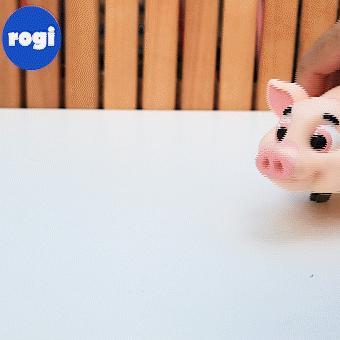 PIG, FLEXI, PRINT-IN-PLACE