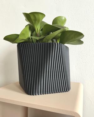 Meva – a versatile planter (wall or table)