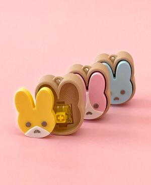 Bunny & Carrot Bundle — Fidget Clicker Keychains