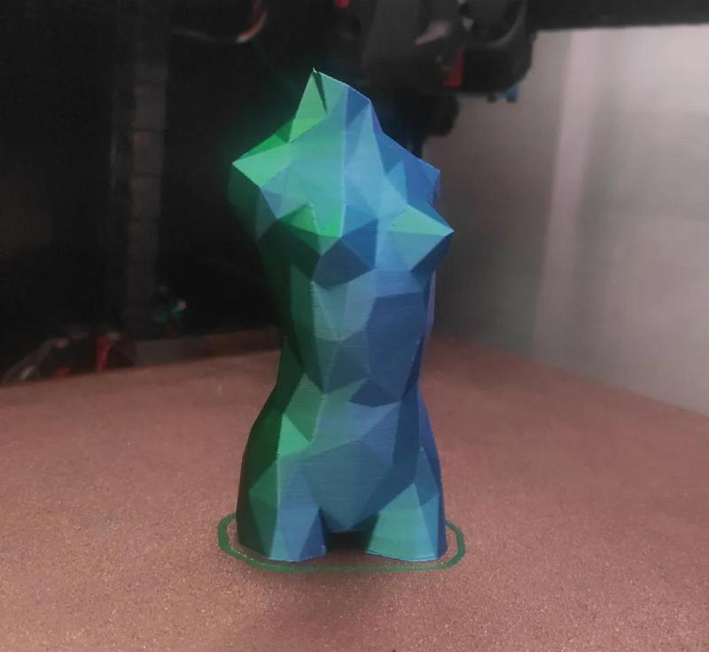 Low Poly Female Torso