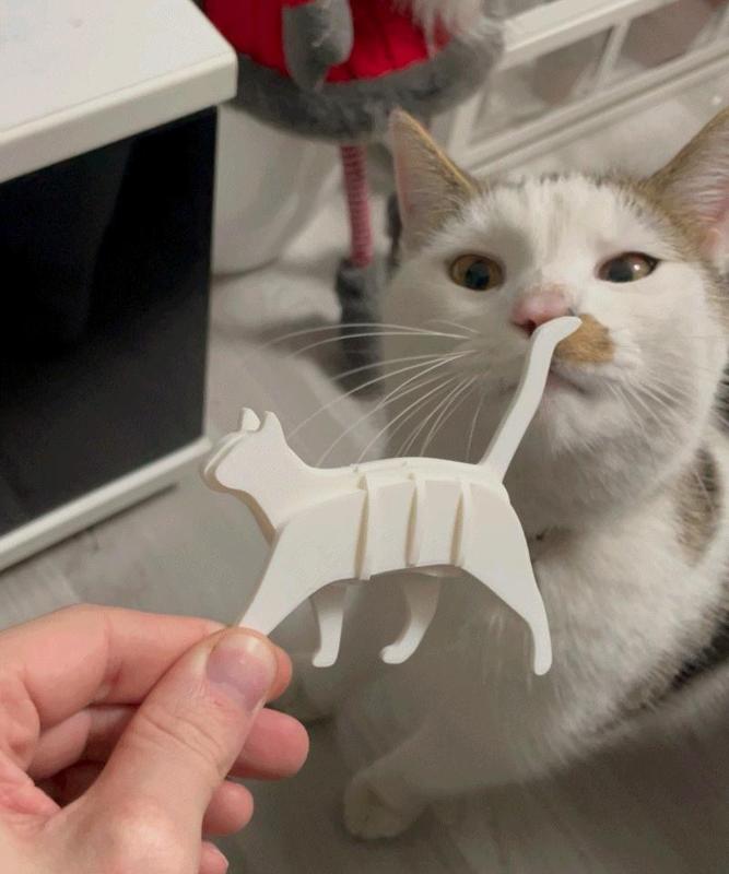 Walking Cat Kit Card
