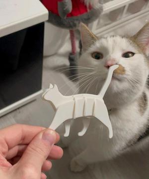 Walking Cat Kit Card