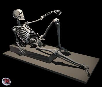 Male and Female Skeleton poseable