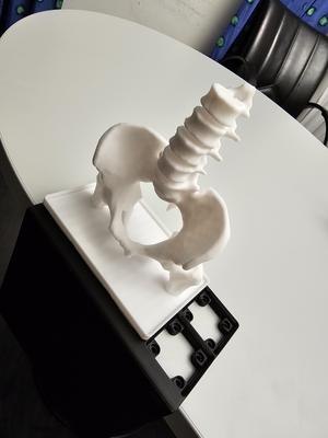Wall Vase