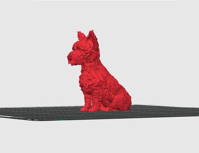 Yorkshire Dog Model