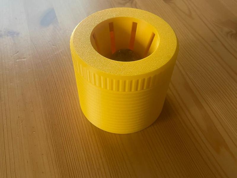 Avocado Seed Germinator