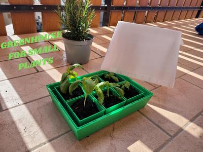 Mini Greenhouse for Seedlings