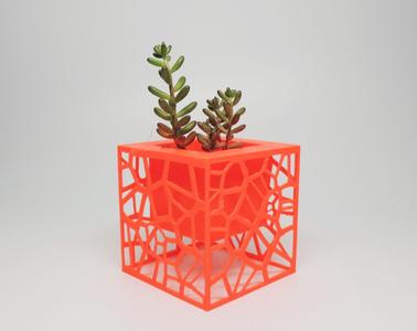 Voronoi Planter