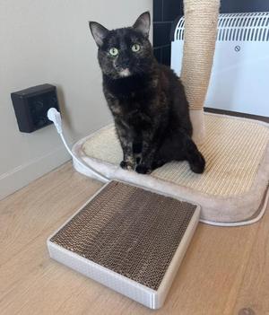 Cardboard Cat Scratcher Frame   
