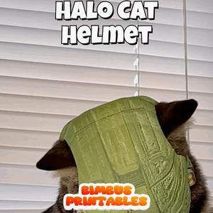 Halo Cat Helmet