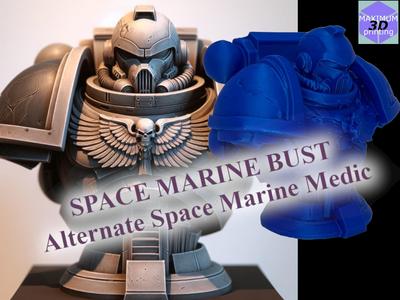 Space Warrior Medic Bust