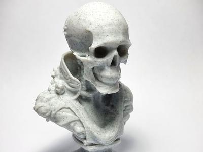 Skull Bust