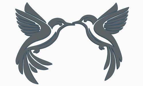 birds in love   