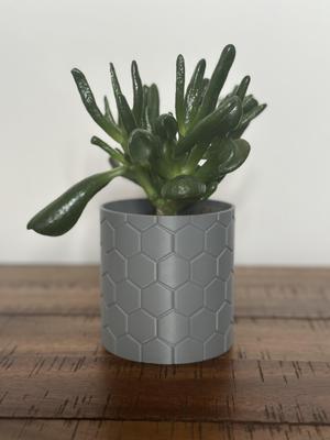 Honeycomb Harmony 3D Printed Indoor Plant Pot – 5 Inch