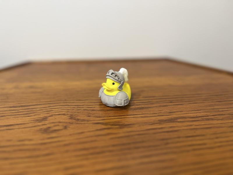 Knight Duck