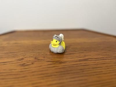 Knight Duck