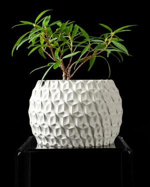 Hexa Planter Pot by MODERN MACHINE