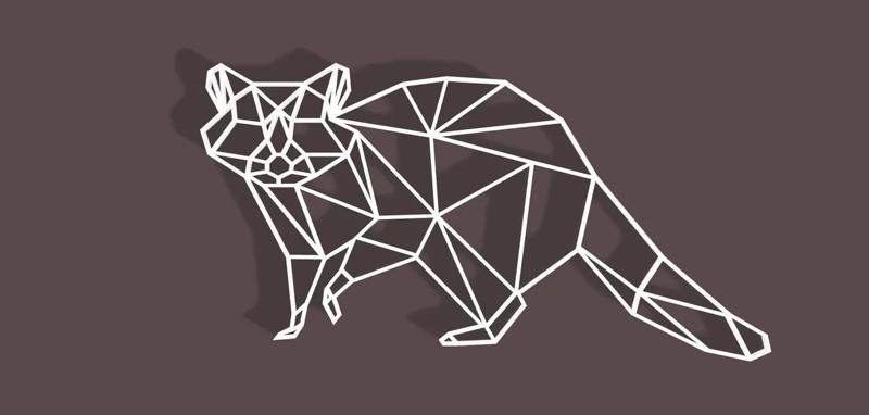 Geometric Racoon