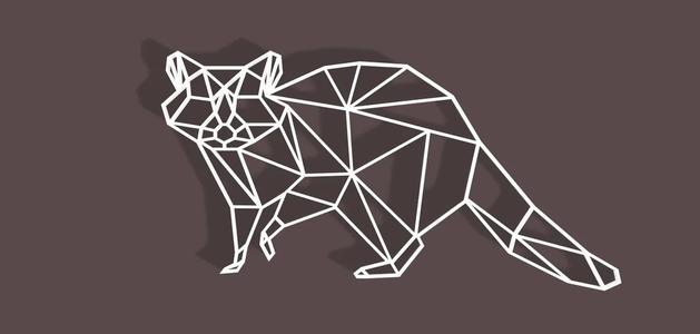Geometric Racoon