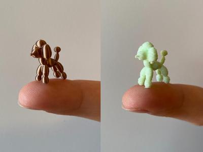 Mini Balloon Poodle