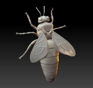 Queen bee