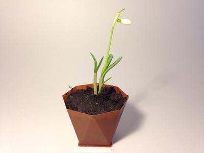 Customizable Polygon Morph Vase
